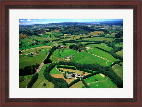 Framed Farmland, Brookby, South Auckland, New Zealand Print