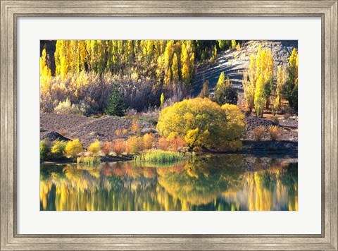 Framed Autumn Colours, Lake Dunstan, Central Otago, New Zealand Print