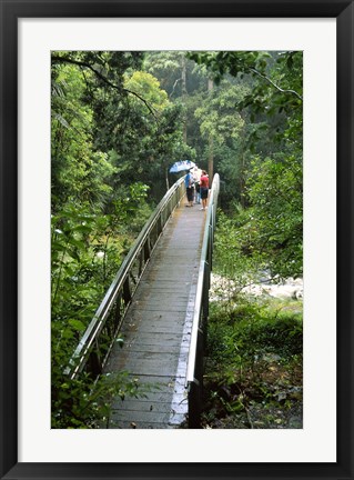 Framed Bridge Below Whangarei Falls, Northland, New Zealand Print