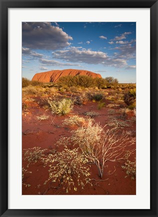 Framed Australia, Uluru-Kata Tjuta NP, Red desert, Ayers Rock Print