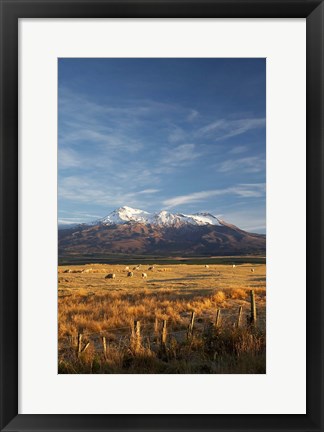 Framed Farm Scene, Mt Ruapehu, North Island, New Zealand Print