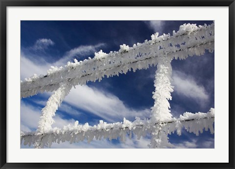 Framed Frosty Wire Fence, Otago, South Island, New Zealand Print