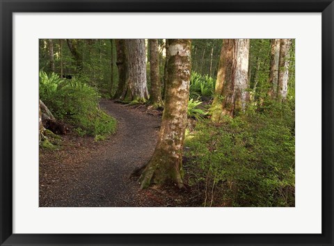 Framed Kepler Track, Fjordland National Park, South Island, New Zealand Print