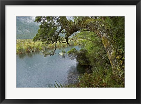 Framed Mirror Lakes, Milford Road, Fiordland, South Island, New Zealand Print