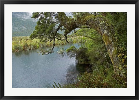 Framed Mirror Lakes, Milford Road, Fiordland, South Island, New Zealand Print