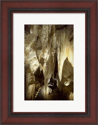Framed Stalactites, Ruakuri Caves, North Island, New Zealand Print
