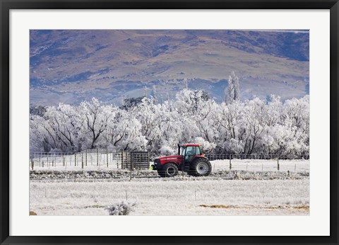 Framed Tractor and Hoar Frost, Sutton, Otago, South Island, New Zealand Print