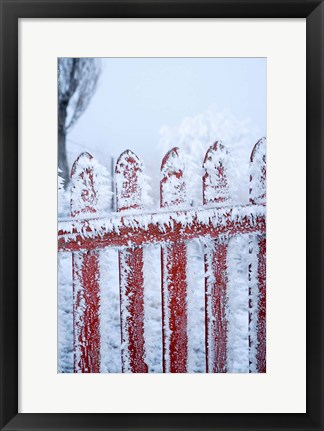 Framed Frost on Gate, Mitchell&#39;s Cottage and Hoar Frost, Fruitlands, near Alexandra, Central Otago, South Island, New Zealand Print