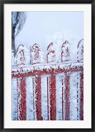 Framed Frost on Gate, Mitchell&#39;s Cottage and Hoar Frost, Fruitlands, near Alexandra, Central Otago, South Island, New Zealand Print