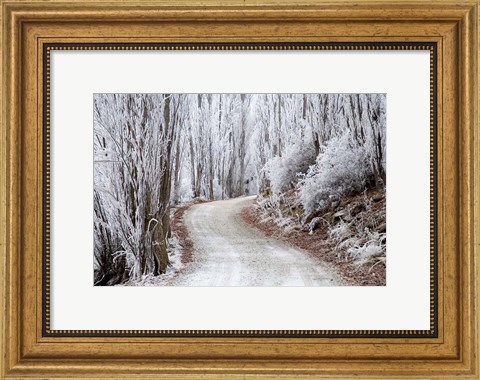 Framed Hoar Frost and Road by Butchers Dam, South Island, New Zealand (horizontal) Print