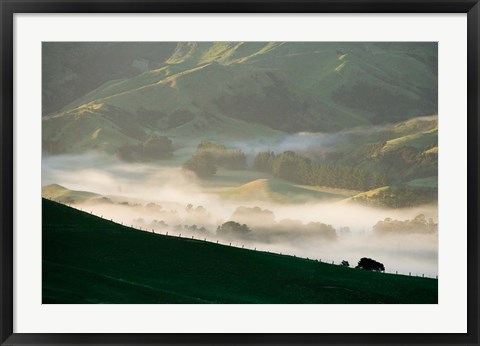 Framed Misty Farmland near Martinborough, Wairarapa, North Island, New Zealand Print
