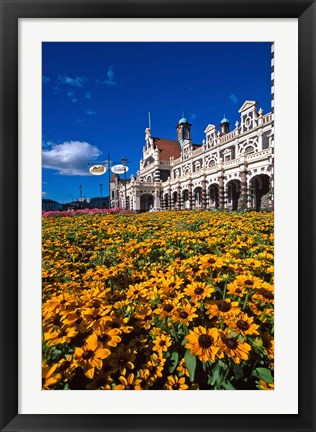 Framed Historic Railway Station and field of flowers, Dunedin, New Zealand Print