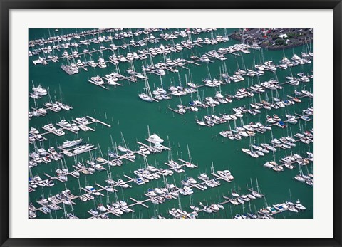 Framed Westhaven Marina, Waitemata Harbor, Auckland Print