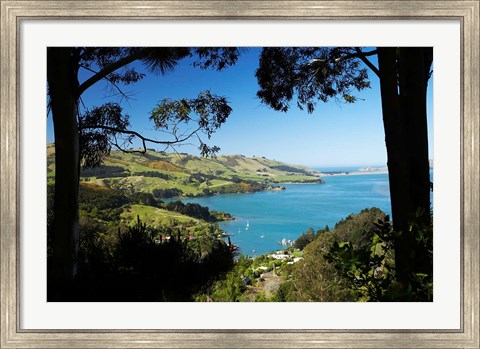 Framed Careys Bay, Otago Harbour, South Island, New Zealand Print