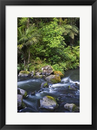 Framed New Zealand, Hatea River, Whangarei Falls, Northland Print