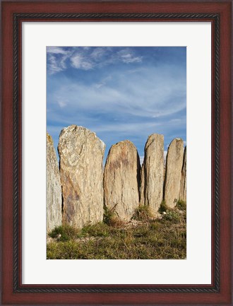 Framed Stone sheep yards, Middlemarch, South Island, New Zealand Print