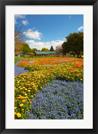 Framed Flower garden, Pollard Park, Blenheim, Marlborough, South Island, New Zealand (vertical) Print