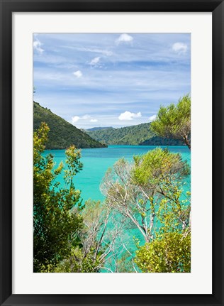 Framed New Zealand, South Island, Marlborough, Nydia Bay Print