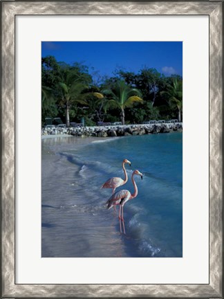 Framed Sonesta Island,  Aruba, Caribbean Print