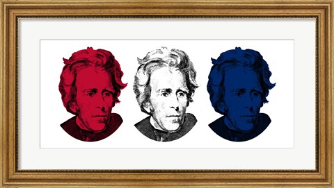 Framed Andrew Jackson in Red, White and Blue Print