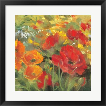 Framed Oriental Poppy Field I Print