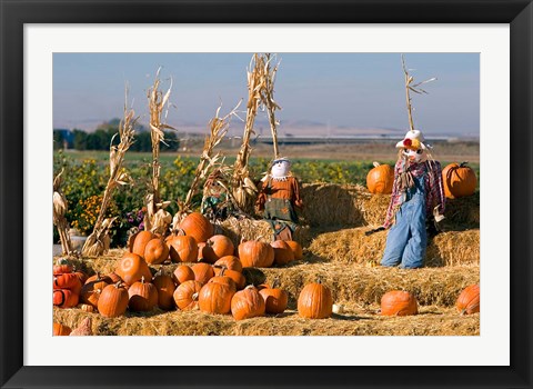 Framed Scarecrows, Fruitland, Idaho Print