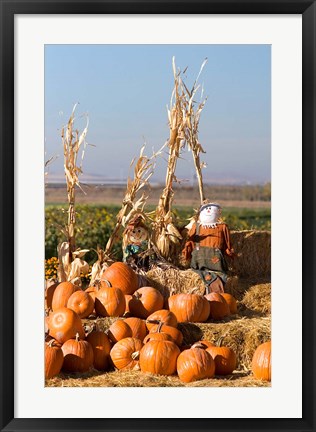 Framed Pumpkin, hay bales, scarecrows, Fruitland, Idaho Print
