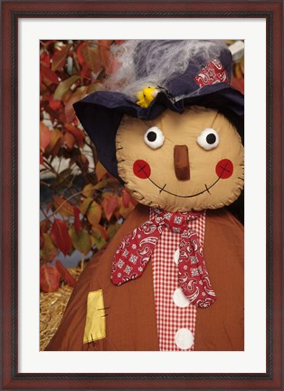 Framed Stuffed Scarecrow on Display at Halloween, Washington Print