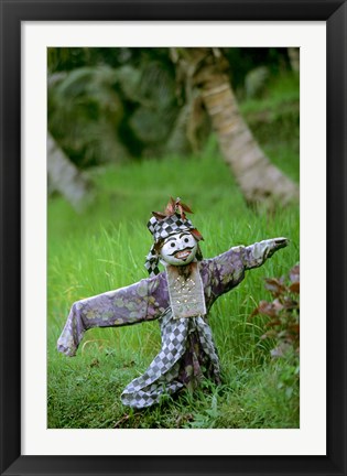 Framed Village Scarecrow, Rice Fields, near Tegallalan, Bali, Indonesia Print