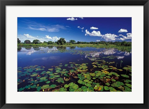 Framed Waterways in Pantanal, Brazil Print