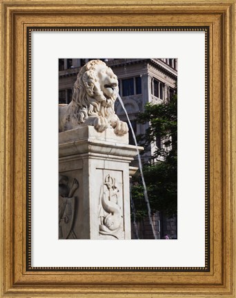 Framed Cuba, Havana, Plaza de San Francisco de Asis Lion fountain Print