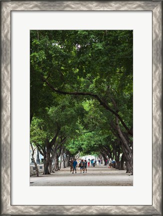 Framed Cuba, Havana, Havana Vieja, Paseo de Marti walkway Print