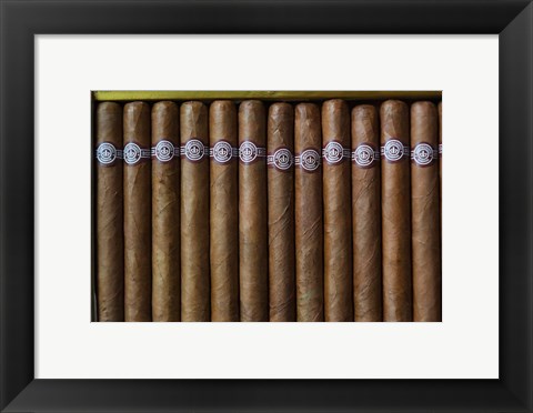 Framed Cuba, Pinar del Rio Province, Cuban Cigars Art Print image Print
