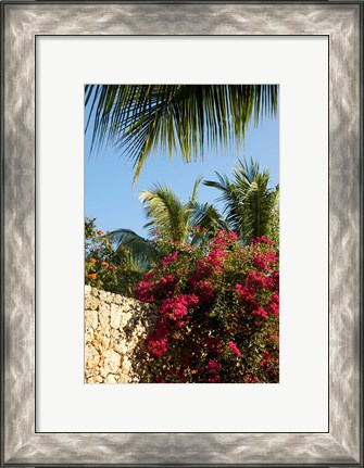 Framed Viva Wyndham Dominicus Beach, Bayahibe, Dominican Republic Print