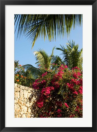 Framed Viva Wyndham Dominicus Beach, Bayahibe, Dominican Republic Print