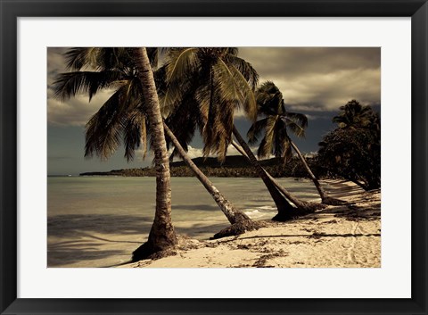 Framed Playa Rincon beach, Las Galeras, Samana Peninsula, Dominican Republic Print