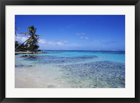 Framed Beach and Palms in Sainte Anne, Guadeloupe Print