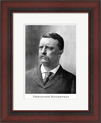 Framed Younger President Theodore Roosevelt Print