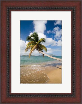 Framed Coconut Grove Beach, Cades Bay, St Kitts, Caribbean Print