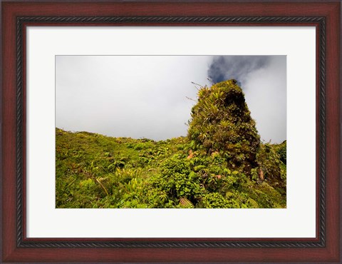 Framed Rim of Summit Crater on Mt Pelee, Martinique, French Antilles Print