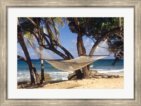 Framed Hammock tied between trees, North Shore beach, St Croix, US Virgin Islands Print