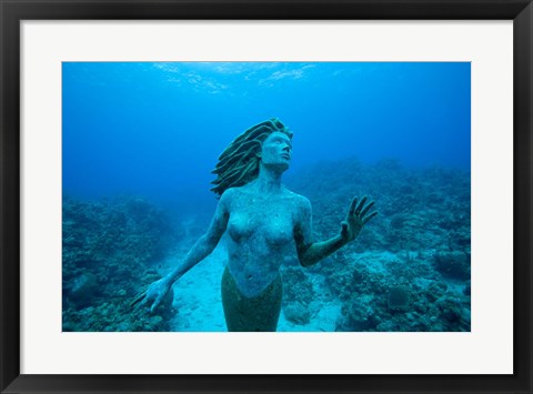 Framed Cayman Islands, Mermaid statue, coral reef Print