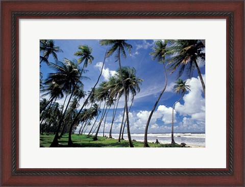Framed View of Manzanilla Bay, Port of Spain, Trinidad, Caribbean Print