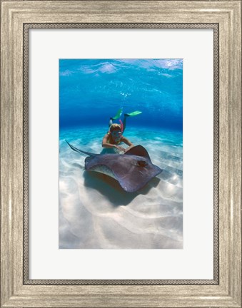 Framed Stingray City, Grand Cayman, Cayman Islands, Caribbean Print