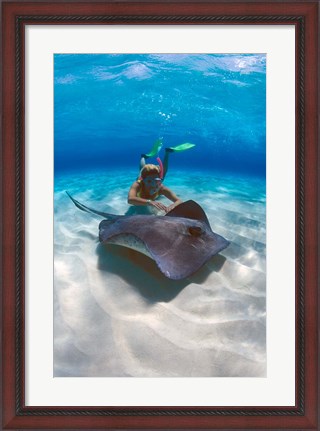 Framed Stingray City, Grand Cayman, Cayman Islands, Caribbean Print