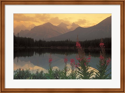 Framed Alberta, Banff, Lake Herbert, Canadian Rockies Print