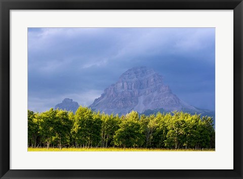 Framed Crowsnest Mountain at Crownest Pass in Alberta, Canada Print