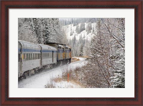 Framed Via Rail Snow Train Between Edmonton &amp; Jasper, Alberta, Canada Print
