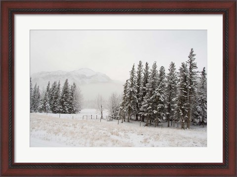 Framed Winter Views from Train, Alberta, Canada Print