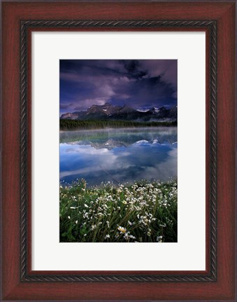 Framed Alberta, Banff National Park Lake Maligne wildflowers Print